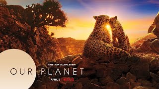 Our Planet  Trailer  Netflix  Dolby Atmos  Dolby Vision [upl. by Helenka120]