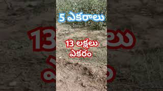 5 Acreagriculturelandforsalemancherial dist 13 lakhs acre9533344166 [upl. by Smukler]