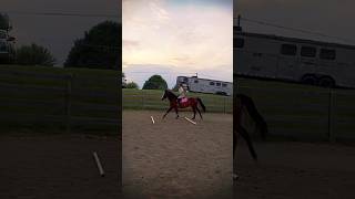 First time cantering over multiple poles 😛 rideforprimie trainforgolden [upl. by Dowell]