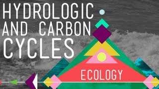 The Hydrologic and Carbon Cycles Always Recycle  Crash Course Ecology 8 [upl. by Hebel140]