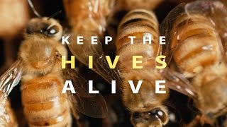 Keep the Hives Alive Full Documentary [upl. by Nicky]