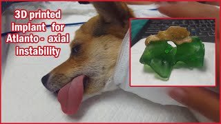 Atlantoaxial instability 3D personalized implant for a dog [upl. by Ahsiekal]