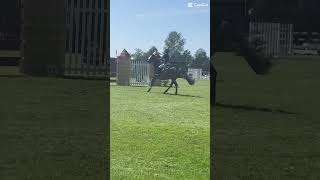 Went to hickstead today [upl. by Cerracchio]