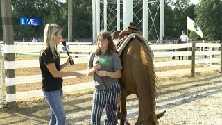 LIVE at Six Tippecanoe County 4H Fair [upl. by Namolos324]