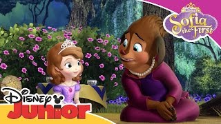 Sofia the First  Princess Charlotte  Official Disney Junior Africa [upl. by Liemaj]