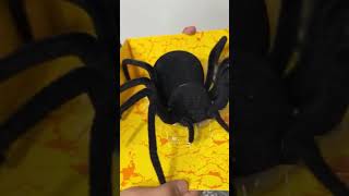 Spider toy cutfrom shorts reaction [upl. by Kristos620]