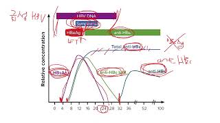간염 표지자 HBV marker 완벽정리 [upl. by Ylrahc97]