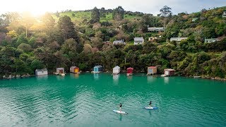 Discover Hidden Dunedin  Coastal Adventures [upl. by Nosreg]