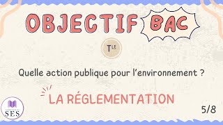 BAC Cours Environnement  La réglementation [upl. by Ardnosal]