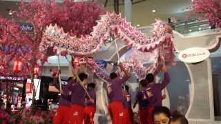 CNY 2014  Dragon Dance by Kwong Ngai  The Curve Shopping Mall [upl. by Lemar]