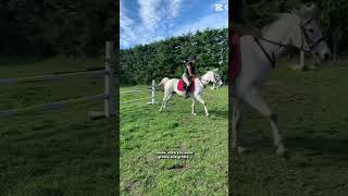 Same place 2 years apart ⁠ nixie subscribe equestrian shorts fyp ponies [upl. by Phila804]