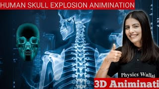 Skeleton system 3d elimination by samapti mamHead explosion 3D diagramSamapti mam pw [upl. by Llireva]