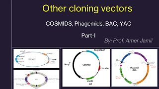 Cloning vectors other than lambda phage and plasmids [upl. by Ragde]