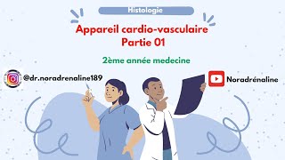 app cardiovasculaire histologie 2ème année med  شرح بالدارجة و الرسم [upl. by Bordiuk]