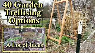 40 Garden Trellising Examples for Growing Vegetables Vertically All DIY Budget Friendly Options [upl. by Aicenad]