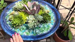 Transform Your Birdbath into a Stunning Succulent Paradise 💙💐🌼🌺🕊️ [upl. by Eeresid]