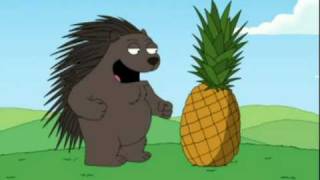 Porcupine meeting a pineapple [upl. by Letney406]