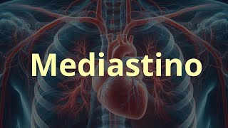 Mediastino [upl. by Atiuqcir]