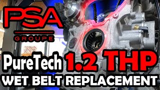 12 THP PSA Engine wet timing belt replacement guide EASIER than you think Fast amp easy guide [upl. by Adiahs]