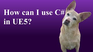 Using C in UE5 with UnrealSharp [upl. by Wilt]