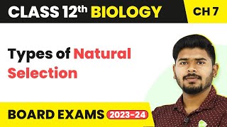 Class 12 Biology Chapter 7  Types of Natural Selection  Evolution 202223 [upl. by Ariak]