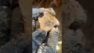 Finding Natural Quartz Crystal Gemstone At The MountainUnbelievable Find quartz crystals mining [upl. by Arabela290]