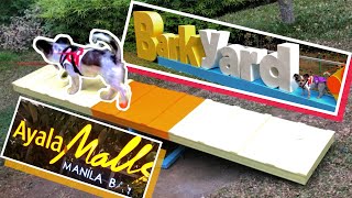 BARKYARD  AYALA MALLS MANILA BAY DOG PARK [upl. by Howzell]