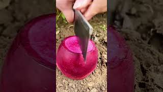 Cutting skills enjoy 👍shorts new nature fruits garden vegetables foryou shortvideo [upl. by Nidnarb]