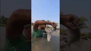 Catching Big Catla Fish By Polo shorts [upl. by Kcirtap]