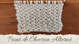 POINT AU TRICOT  Point de Chevron Alterné [upl. by Manvell]