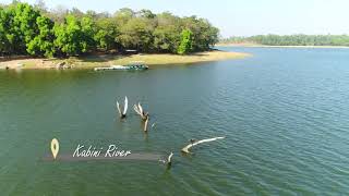 Kabini Lodge Jungle lodges and resorts [upl. by Monaco]