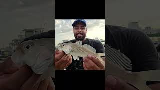 Fishing for a Deformed Croaker Shorts YouTubeShorts [upl. by Cassius]