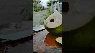 Pyramid Coconut shorts asmr coconut [upl. by Eremahs]