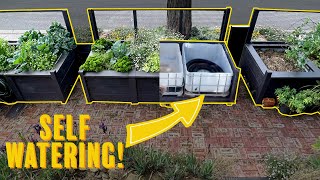 Stylish self watering raised garden beds How to build [upl. by Ellon]