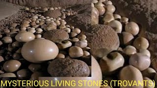 MYSTERIOUS GROWING LIVING STONES TROVANTS OF COSTESTI ROMANIA [upl. by Tevis]