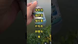 92 只要在池塘用上它，再也不用担心寄生虫鱼病防治 水产养殖 寄生虫 [upl. by Eppillihp]