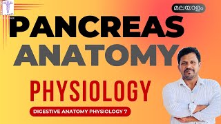 Pancreas Anatomy Physiology Malayalam Digestive Function of Pancreas Malayalam Digestion physiology [upl. by Aserehs]