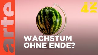 Brauchen wir Wirtschaftswachstum  42  Die Antwort auf fast alles  ARTE [upl. by Sutherlan]