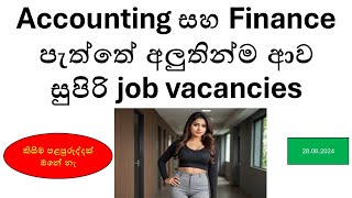 Top Accounting amp Finance Job Vacancies in Sri Lanka  Opportunities for Freshers [upl. by Onailimixam]