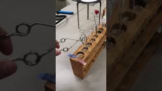 Alkali  ammonium salt reaction and litmus test for ammonia gas [upl. by Sedecram]