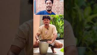 Aalu bada our dahi dada me kon bada [upl. by Crenshaw]