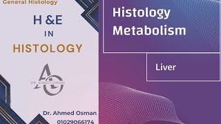 Liver Histology Metabolism [upl. by Sivar495]