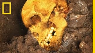 An Ancient Human Skull  National Geographic [upl. by Percy473]