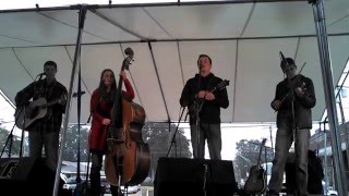 Joe Ledbetter Band singing at Diamond Festival [upl. by Albrecht437]