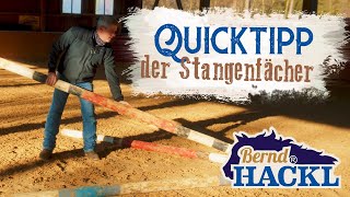 Der Stangenfächer  HORSEMAN HACK 🐎 [upl. by Boony175]