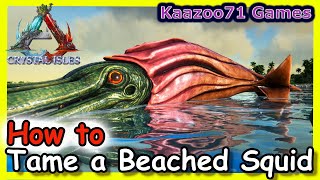 How to Tame a Beached Squid in Ark 💥 [upl. by Atinomar]