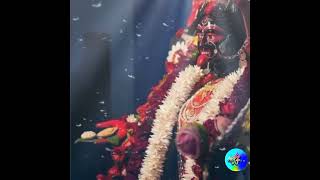 Amar jante icche kore maa goshyamakali youtube shortvideo kali [upl. by Lothair]