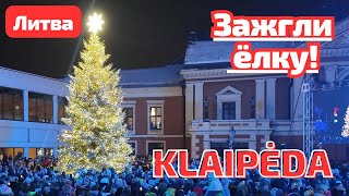 Настоящая красавица в KLAIPĖDA 🎄 ёлка ЛИТВА [upl. by Senilec140]