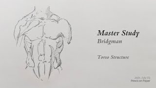 Master Study  Bridgman Torso Structure Pencil on Paper [upl. by Ajuna]