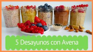 Desayunos con AVENA 5 recetas saludables y fáciles  OVERNIGHT OATS  desayunos para llevar 👍👍 [upl. by Aruam732]